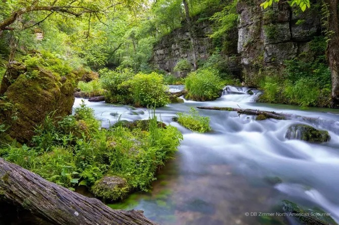 A time-lapse photo of a stream with a bluff in the background and verdant foliage everywhere